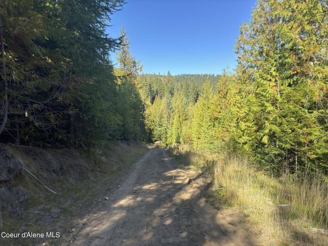 NNA Rustic Way South Lot 9 Way, Spirit Lake, ID 83869