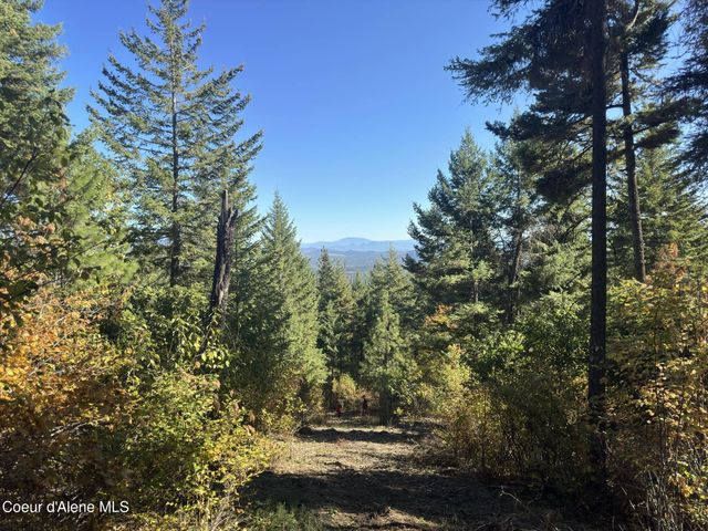 NNA Rustic Way South Lot 9 Way, Spirit Lake, ID 83869
