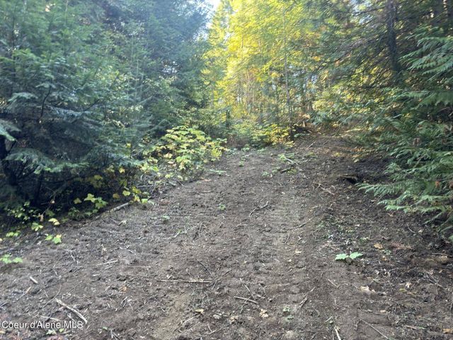 NNA Rustic Way South Lot 9 Way, Spirit Lake, ID 83869