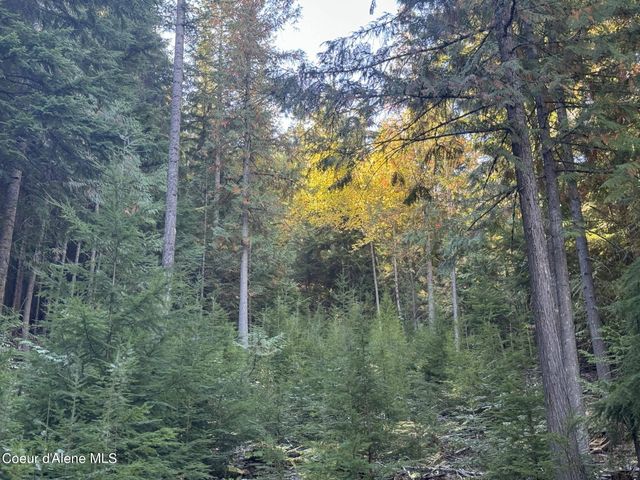 NNA Rustic Way South Lot 9 Way, Spirit Lake, ID 83869