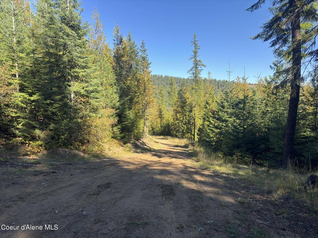 NNA Rustic Way South Lot 9 Way, Spirit Lake, ID 83869