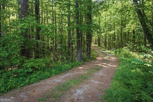 684 Mills Drive, Covington, GA 30016