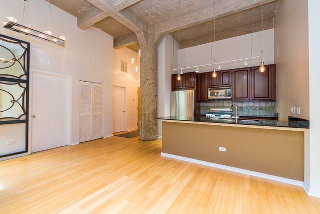 1735 N Paulina Street 206, Chicago, IL 60622