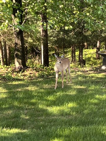 1520 Hunter Hill Road, Hudson, WI 54016