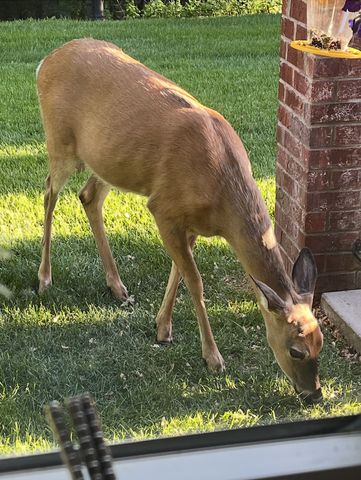 1520 Hunter Hill Road, Hudson, WI 54016