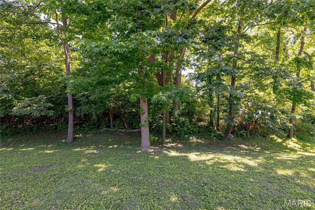 2054 Krause Hill Place Place, Florissant, MO 63031