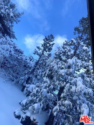 1327 Evergreen Lane, Lake Arrowhead, CA 92352