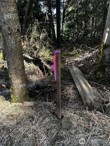 9999 Lot 1 Robinson Road, Port Angeles, WA 98362