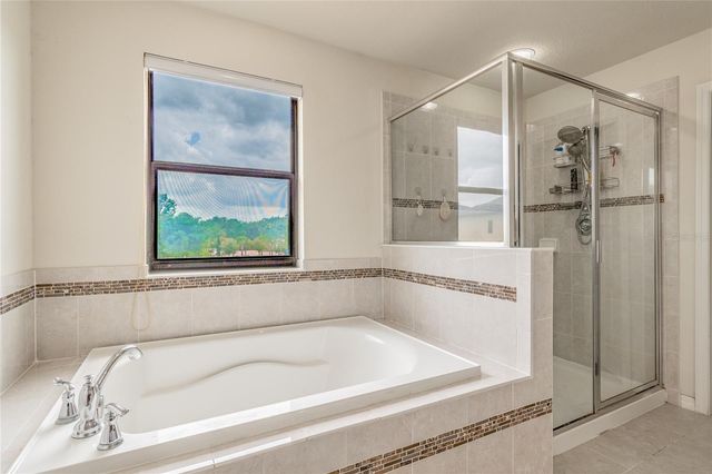 11027 TAHITI ISLE LANE, Tampa, FL 33647