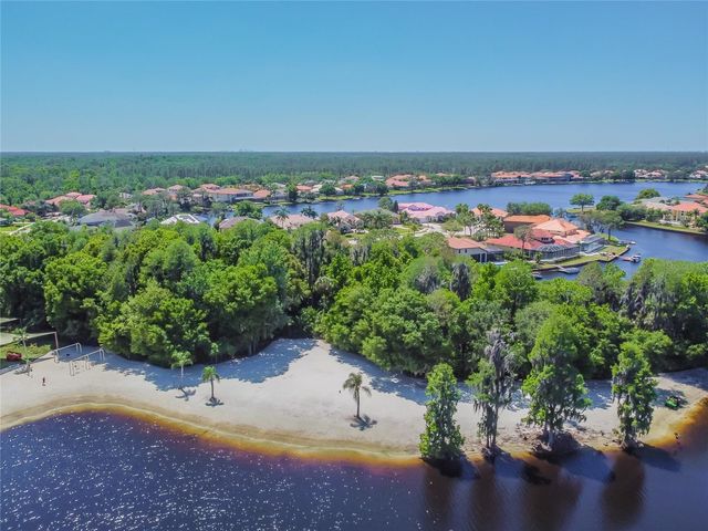 11027 TAHITI ISLE LANE, Tampa, FL 33647