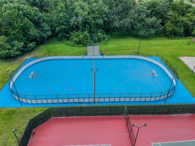 11027 TAHITI ISLE LANE, Tampa, FL 33647