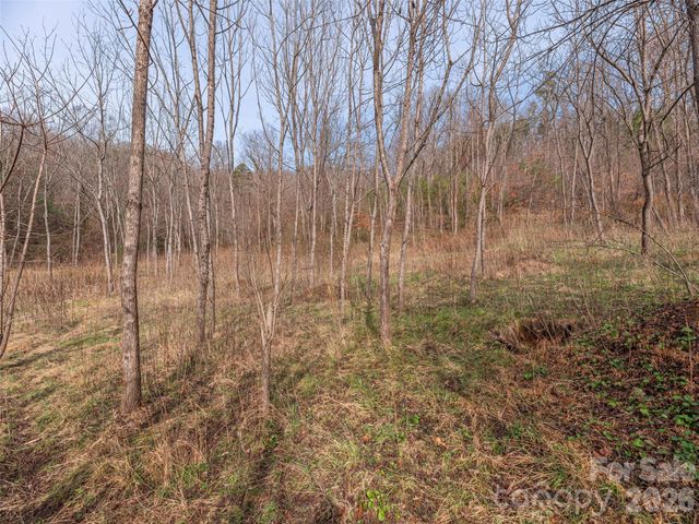 Lot 31 Hooper Cemetery Road, Cullowhee, NC 28723