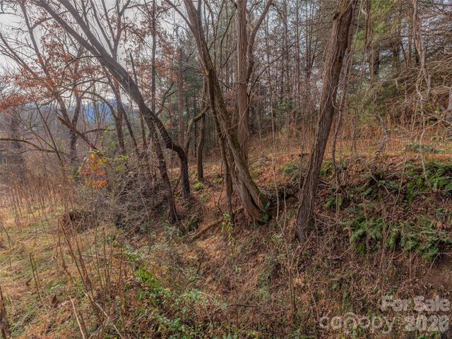 Lot 31 Hooper Cemetery Road, Cullowhee, NC 28723