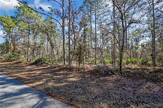 174 Daisy Street, Homosassa, FL 34446