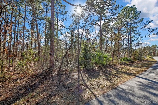 174 Daisy Street, Homosassa, FL 34446