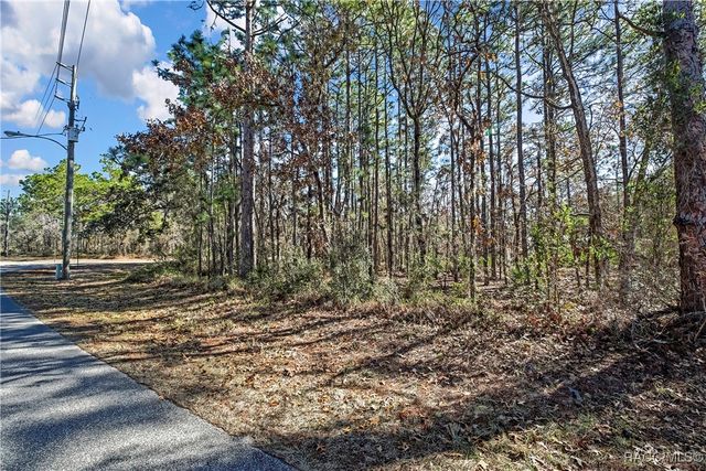 174 Daisy Street, Homosassa, FL 34446