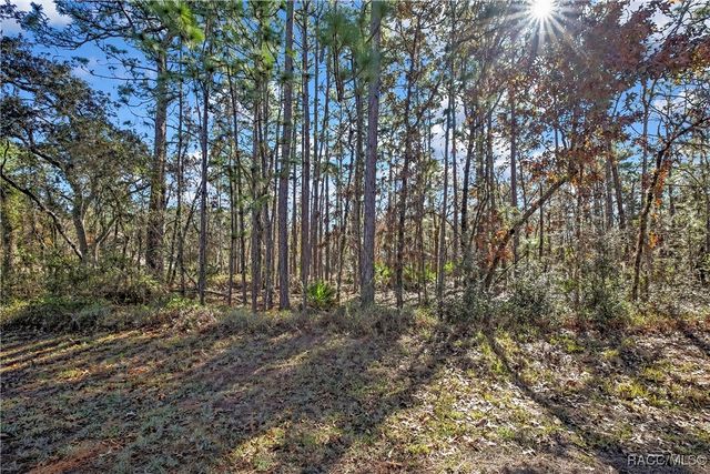 174 Daisy Street, Homosassa, FL 34446