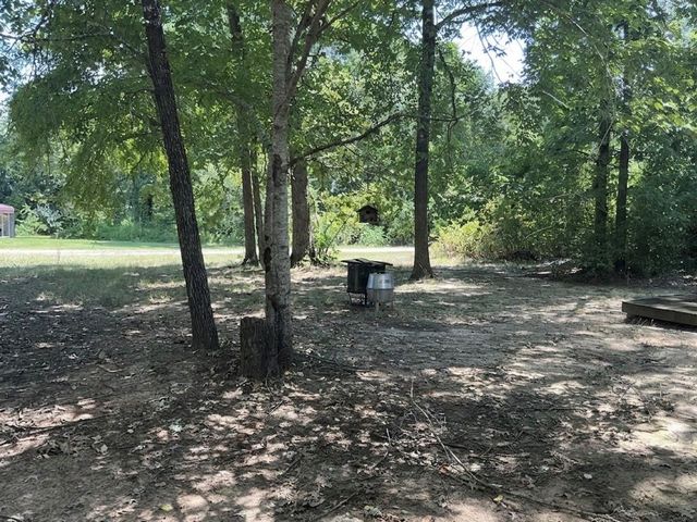 297 Leaning Oak Drive, Point Blank, TX 77364