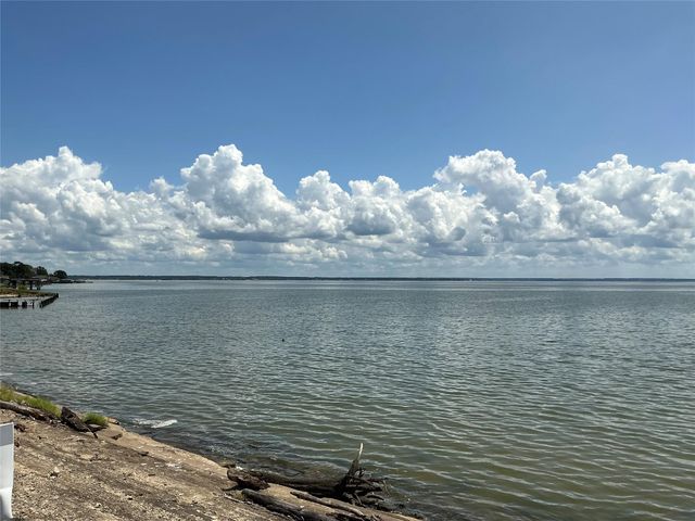 297 Leaning Oak Drive, Point Blank, TX 77364