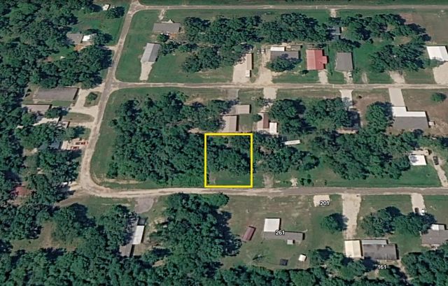 297 Leaning Oak Drive, Point Blank, TX 77364
