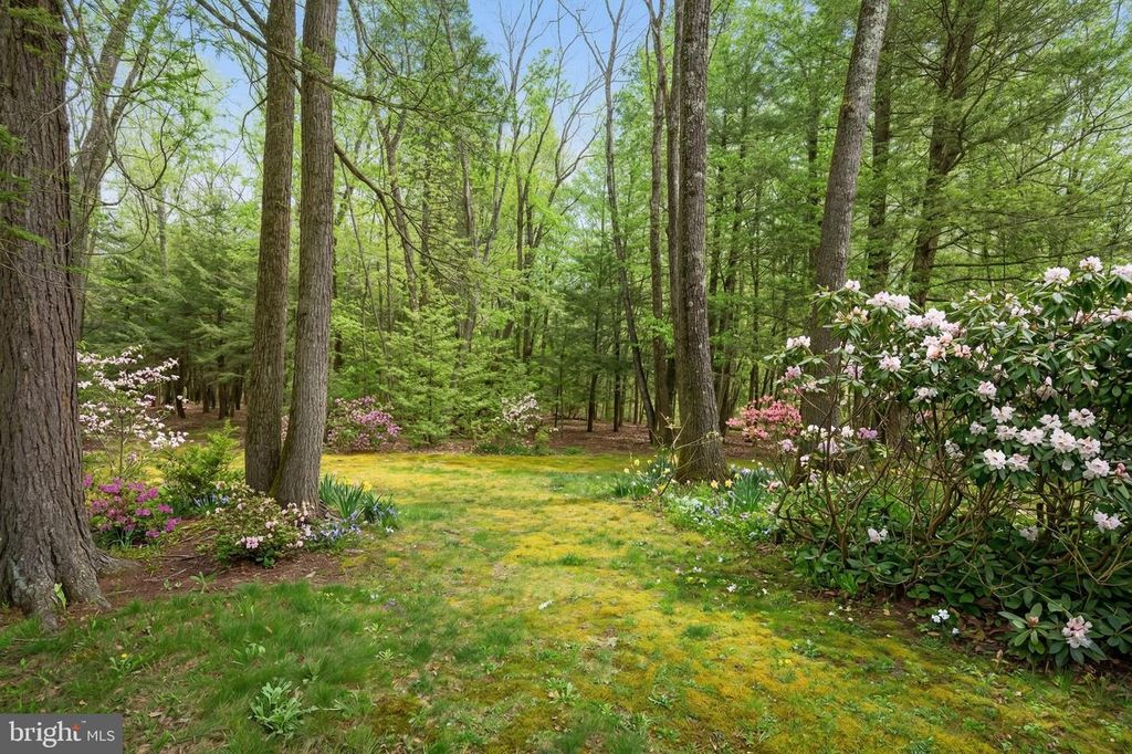 Image 78 of property listing at 15443 BITTINGER RD, Grantsville, MD 21536