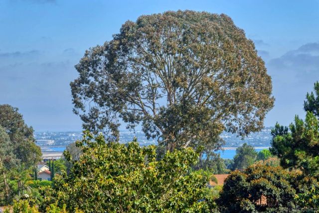 2207 Caminito Cabala, La Jolla, CA 92037