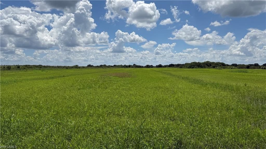 4495 1st RD, LABELLE, FL 33935 — photo 2