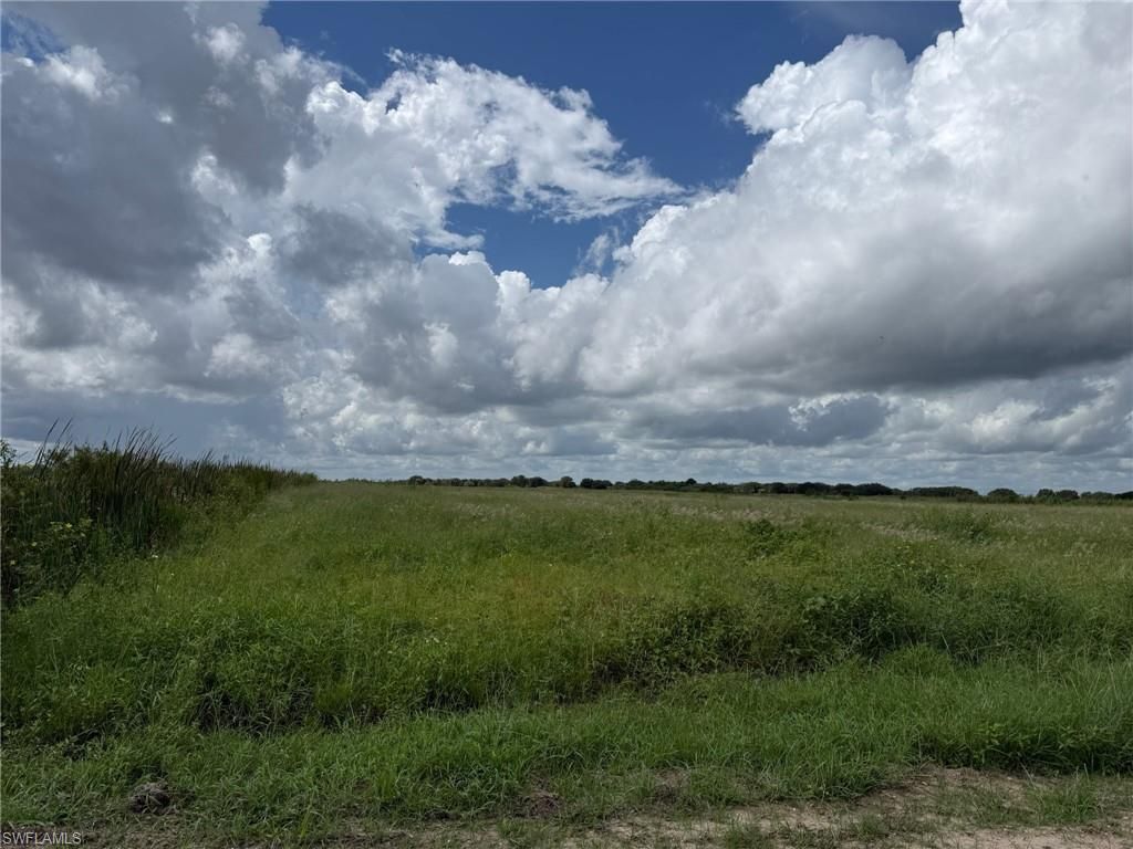 4495 1st RD, LABELLE, FL 33935 — photo 3