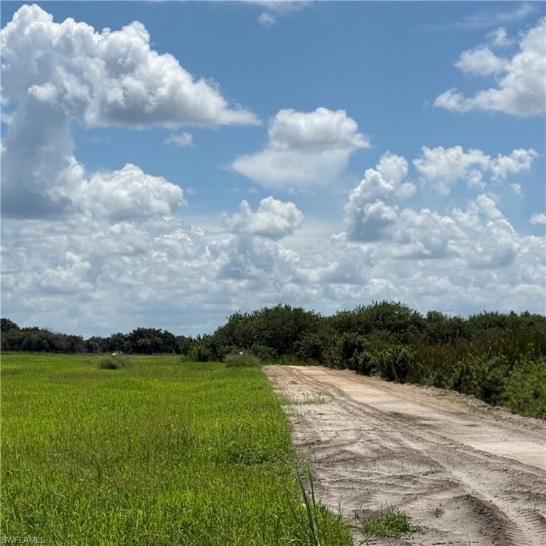 4495 1st RD, LABELLE, FL 33935 — photo 4