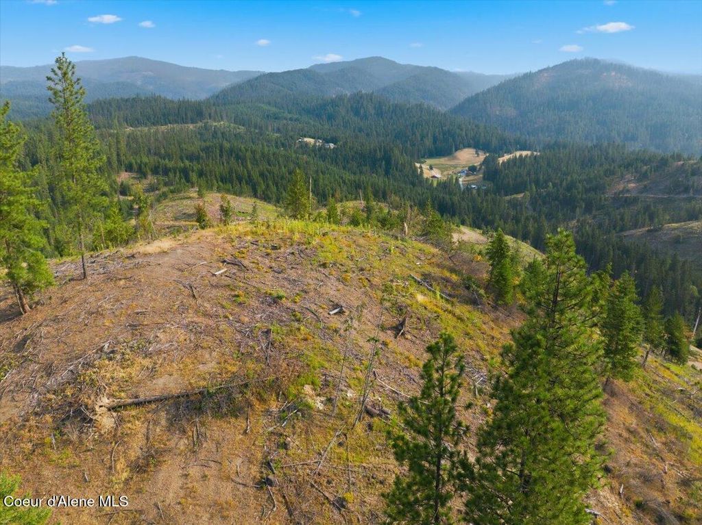 NKA 198 Ac S Service Creek Rd, Cataldo, ID 83810 photo 3