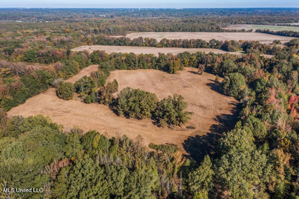 11880 Fairview Road, Olive Branch, MS 38654 — photo 2