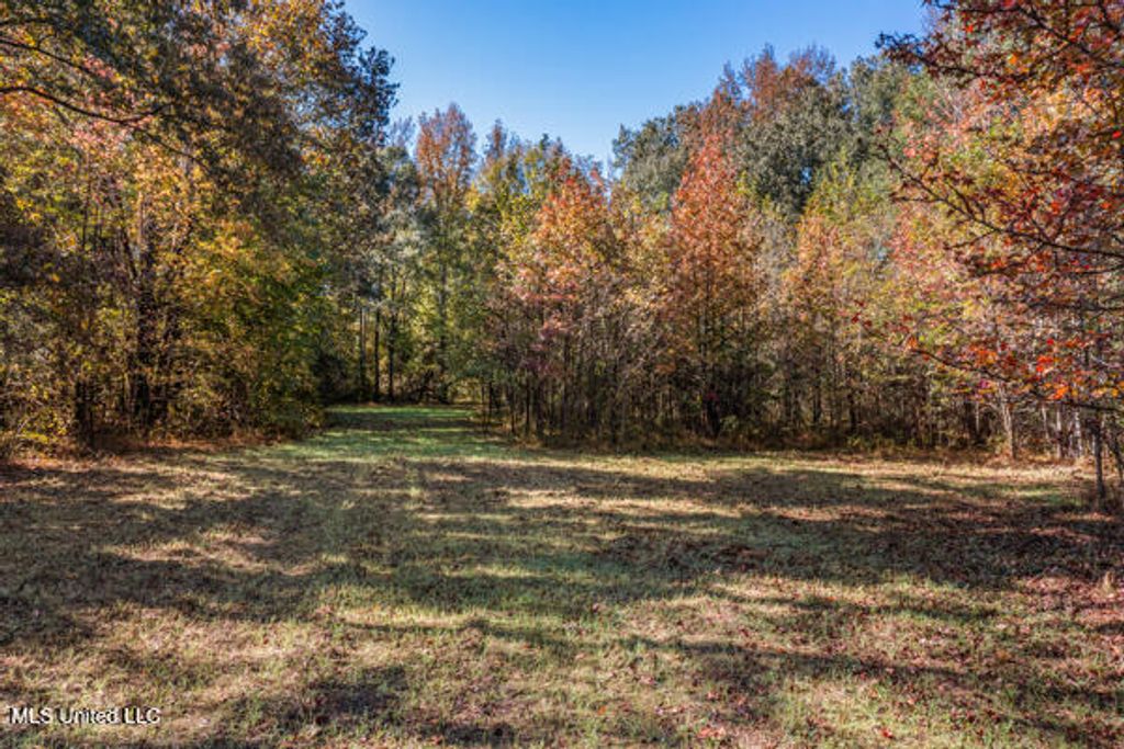11880 Fairview Road, Olive Branch, MS 38654 — photo 5