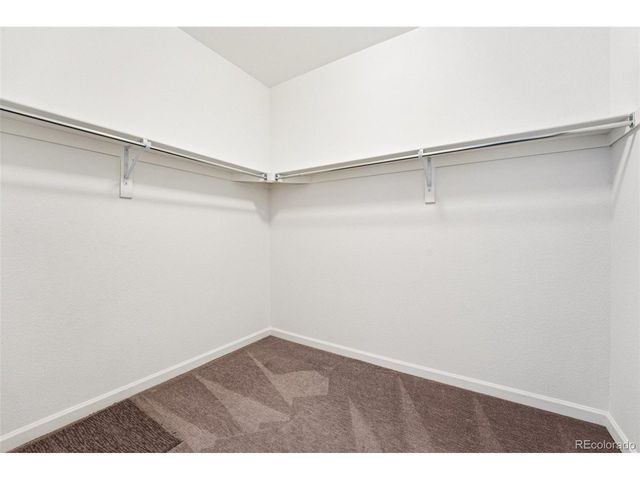 1704 Cade Ave, Castle Rock, CO 80104