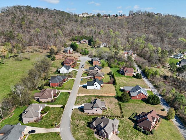 9830 Leslie Sandidge Drive, Ooltewah, TN 37363