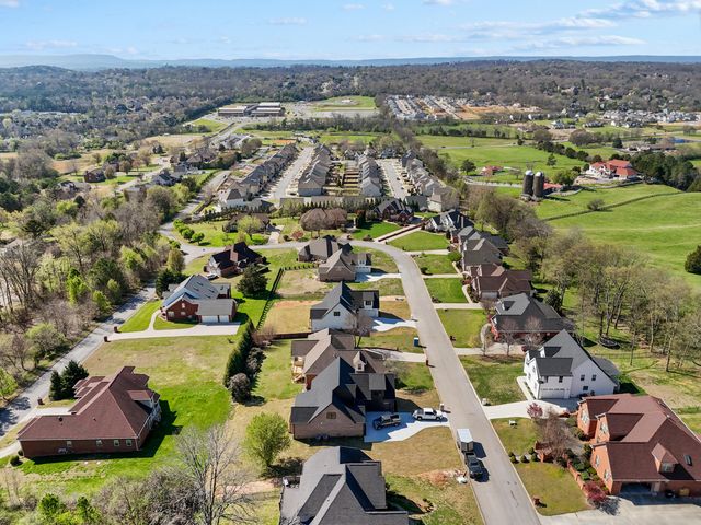 9830 Leslie Sandidge Drive, Ooltewah, TN 37363