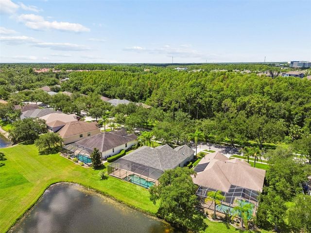 8332 TORRINGTON AVENUE, Tampa, FL 33647