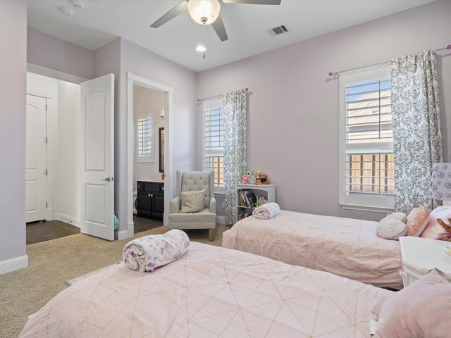12142 Lazio Lane, Frisco, TX 75035