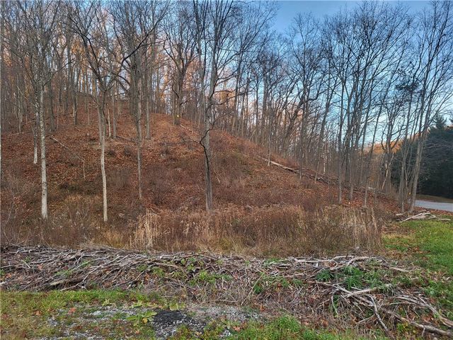 3445 Conway Wallrose Road, Economy, PA 15143