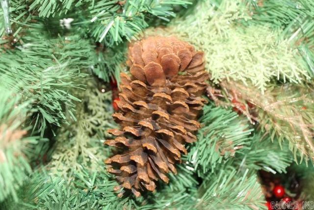 1313 Cody Place, North Little Rock, AR 72118