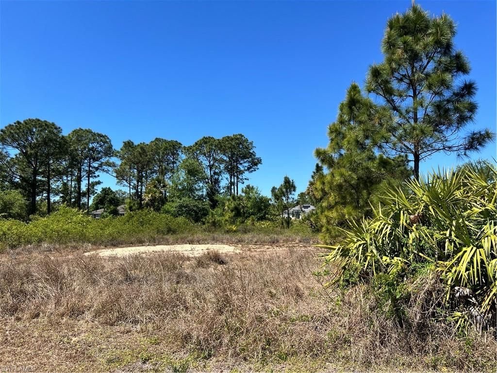 338 Genoa AVE S, LEHIGH ACRES, FL 33974 — exterior