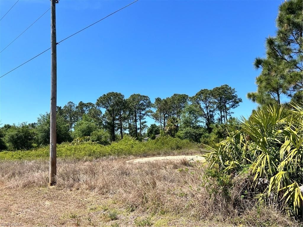 338 Genoa AVE S, LEHIGH ACRES, FL 33974 — photo 2