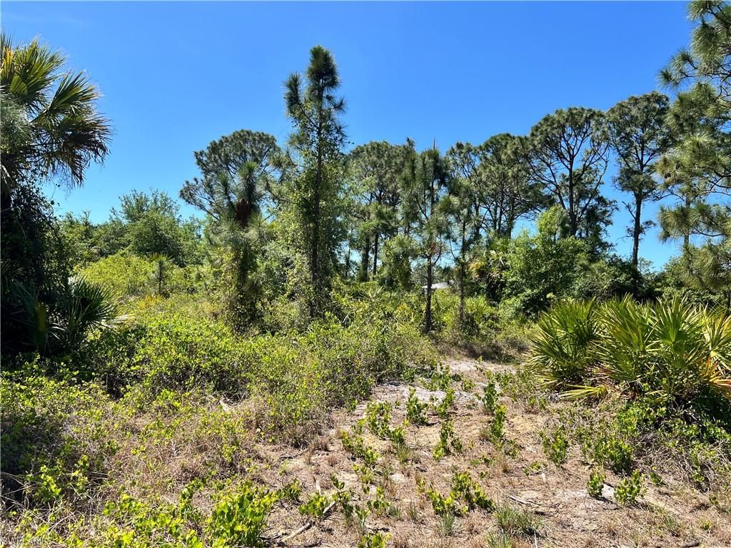 338 Genoa AVE S, LEHIGH ACRES, FL 33974 — photo 3