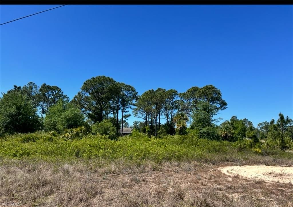 338 Genoa AVE S, LEHIGH ACRES, FL 33974 — photo 4