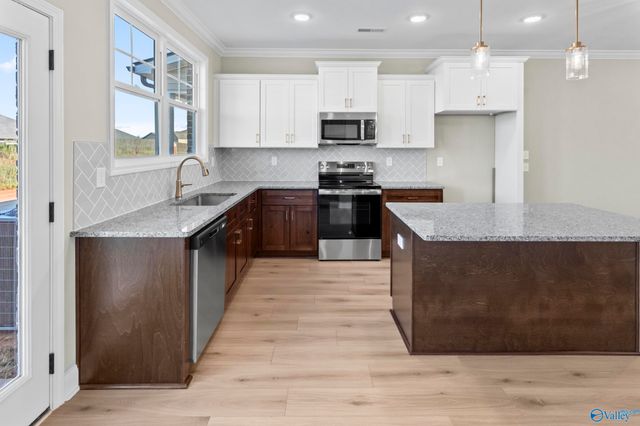 243 Susan Lynn Drive, Hazel Green, AL 35750