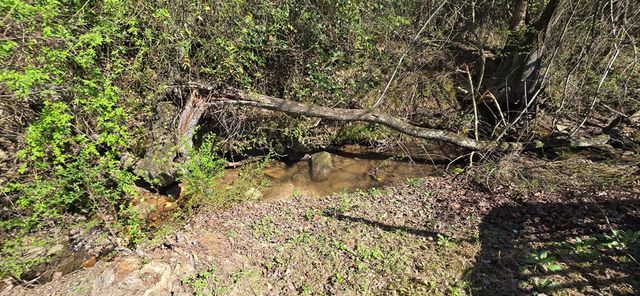 129 Moccasin Lane, Blairsville, GA 30512