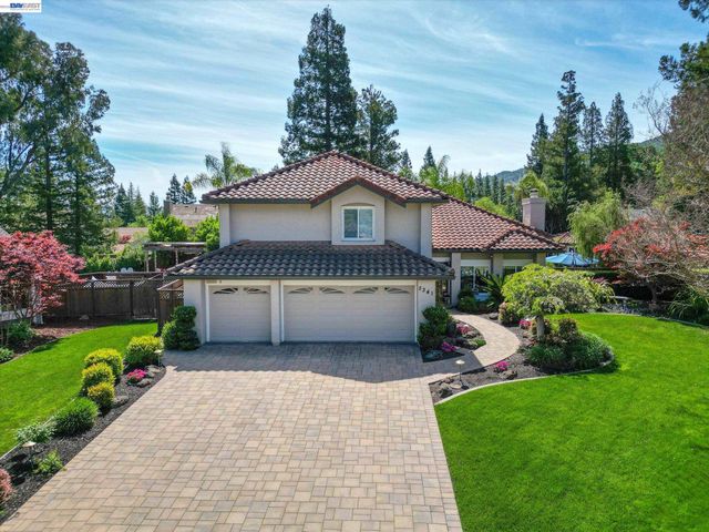 3341 Sorrel Downs Ct, Pleasanton, CA 94588
