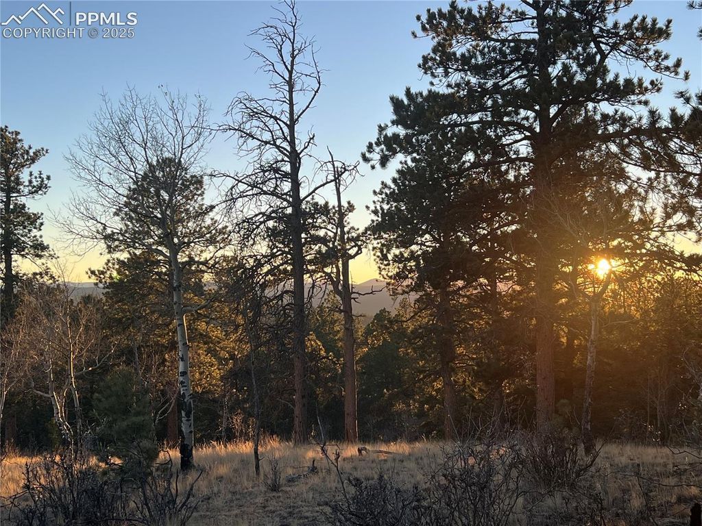 Unknown NA, Florissant, CO 80816 — photo 2