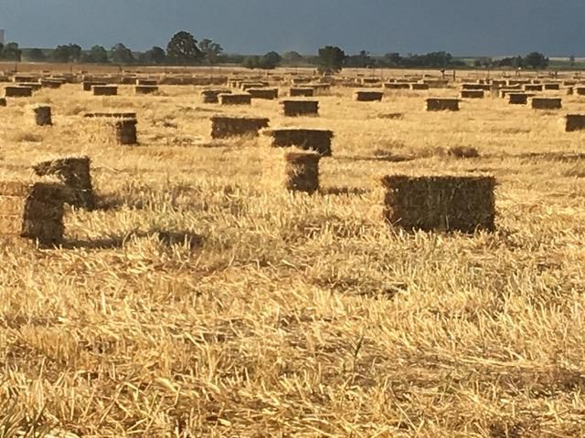 29266 Dry Creek Rd, Galt, CA 95632