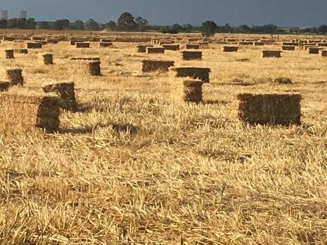 29266 Dry Creek Rd, Galt, CA 95632