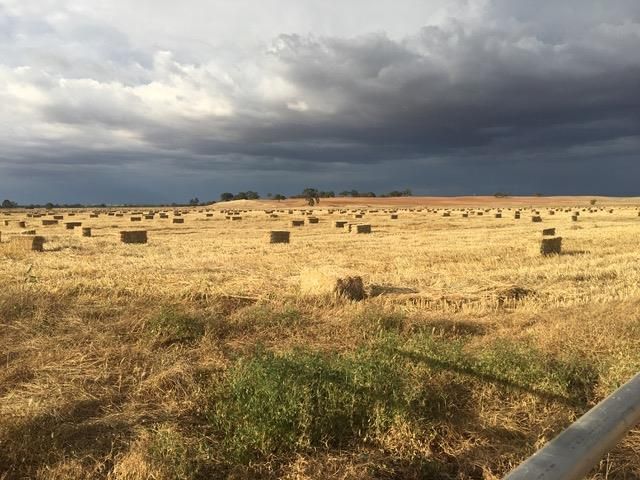 29266 Dry Creek Rd, Galt, CA 95632